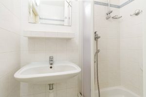 Prodej bytu Velká Ohrada - koupelna